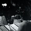 Carson at Flamingo Cantina
